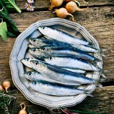 Sardine Fish